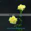 Fresh cut Yellow Fancy beautiful Carnation flowers glaring global distribution value from China