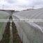 Greenhouse plants protection mesh anti insect net, HDPE insect proof mesh netting