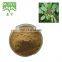 Treating Annual fissure plant extract Cascara sagrada bark extract / Buckthorn Bark Extract