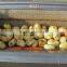 Potato Peeling Machine/potato(brush) peeling machine/potato washer