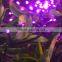 Best Selling 22m 200 LED Solar Fairy String Lights for Outdoor, Gardens, Homes, Christmas Party Pink