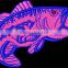 custom colors fish embroidery patch sew or iron