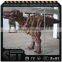 Cetnology-latest technology dinosaurus mascot costume dinosaur suit                        
                                                Quality Choice