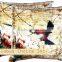 Indian Pillow Case Digitalprint Bird Cushion Cover