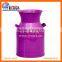 HOMEWARE GARDEN METAL FLOWER POT IRON WATERING POT