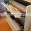 Cabinet style shoe rack Europe design