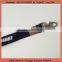 Plastic buckle breakaway clip lanyard keychain lanyard