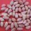 long type peanut kernel