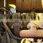 Used wheel loader 936E Cat of Loader 936E Cat