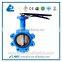 Center-line Type Lug Type Butterfly Valve