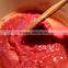 Tomato Paste with best price for sale