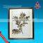 Medicinal Plants Herbarium