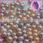 Natural AAAA half-drilled 6.5-7mm round freshwater loose Pearls