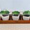 unfinished wood trays,antique wood serving trays,cheap colorful wood tray