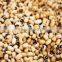 ALL PULSES