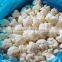 IQF Frozen Cauliflower