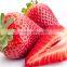 Fresh Strawberry Juice Concentrate