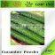 Supply Cucumber Extract Powder