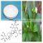 Natural Sweetener Stevia Extract Powder / Stevia Leaf Extract