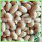 2016 Peanut Kernels Raw Peanuts Kernel