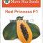 Hybrid Papaya Red Princess (Red Lady) F1 Seeds