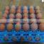 High quality& hot sale and used convenient plastic chicken egg tray