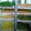 New Animal Feed Making Machine! Full Automatic Hydroponic Organic Barley Sprouts Machine
