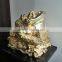 FRP gold frog statue