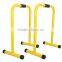 Lebert Equalizer Exercise Dip Station Fitness