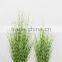 Wholesale artificial plants zebra onion grass in pot