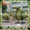 The most durable products for garden and landscaping artificial grass dolphin artificial animal topiarydolphin