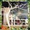 Customized Tree Trunk Wedding Tree Pole
