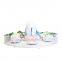 Zhongshan amusement equipment Outdoor Playground Kiddie Rides Fairground Self Control Plane 12 Seat Dinosaur Egg rides