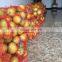 Fruits Vegetable packaging HDPE plastic raschel mesh bags