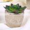 Fake plants simulate succulent bonsai creative flowers simulate potted plants potted trinket