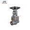 FRJ41Y 800Lb Forged Steel Flanged Globe Valve with Manual Operation for power station