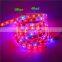 Full spectrum plant Grow LED Strip Light 5M 5050 LED Flower Plant  Growth lamps For Greenhouse Hydroponic Plant Growing