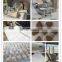 Best Quality Automatic stainless steel Pet meat food Extruding Machine