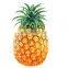 Commercial pineapple waffle maker ice cream cone electric waffle maker with CE