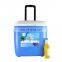 40 Years Experience Manufacturer Wholesale Food Delivery Ice Cream Bag Packaging Trolley Cooler Box
