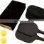 USAPA Palette Pickleball Rally and Pure2 Pickleball Paddle