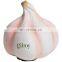 Best selling PU foam garlic shape custom antistress reliever ball for kids