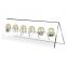 6 Coin Display Rack Coin Collector Holder Clear Acrylic Coin Display Stand