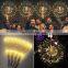 Guangdong Indoor Dandelion Shape Rechargeable Starburst Decorative Lighting For Diwali