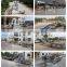 High efficiency pawpaw washing cutting processing machine