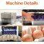 High Resolution Egg Printer Egg Stickers Egg Expiry Date Printing Machine