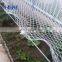 High quality plastic garden bird netting black green white anti bird net vineyard netting