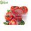 tomato paste making machine production line