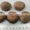 Smooth Shiitake Mushroom 1KG