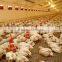 Full Set Automatic Poultry Farming Machinery for Broiler
